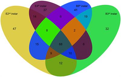 Genome-Wide Screening and Functional Analysis Reveal That the Specific microRNA nlu-miR-173 Regulates Molting by Targeting Ftz-F1 in Nilaparvata lugens